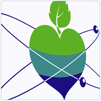 logo 1 - smartwise international 2005